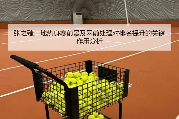 张之臻草地热身赛前景及网前处理对排名提升的关键作用分析